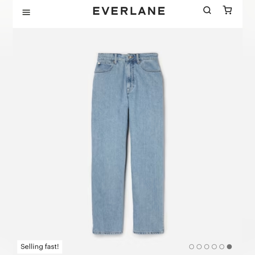 NEW Everlane Curvy Way-High Jean size31